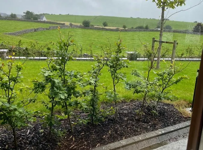 The Stone * Castlebar